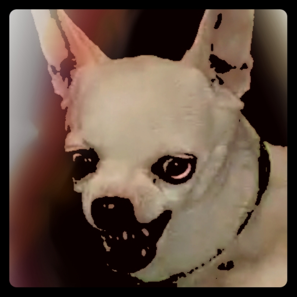 Meet your Posher, Slobberyslits